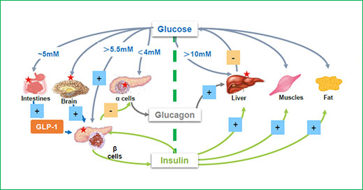 1668135164600808.jpg 未标题-3.jpg