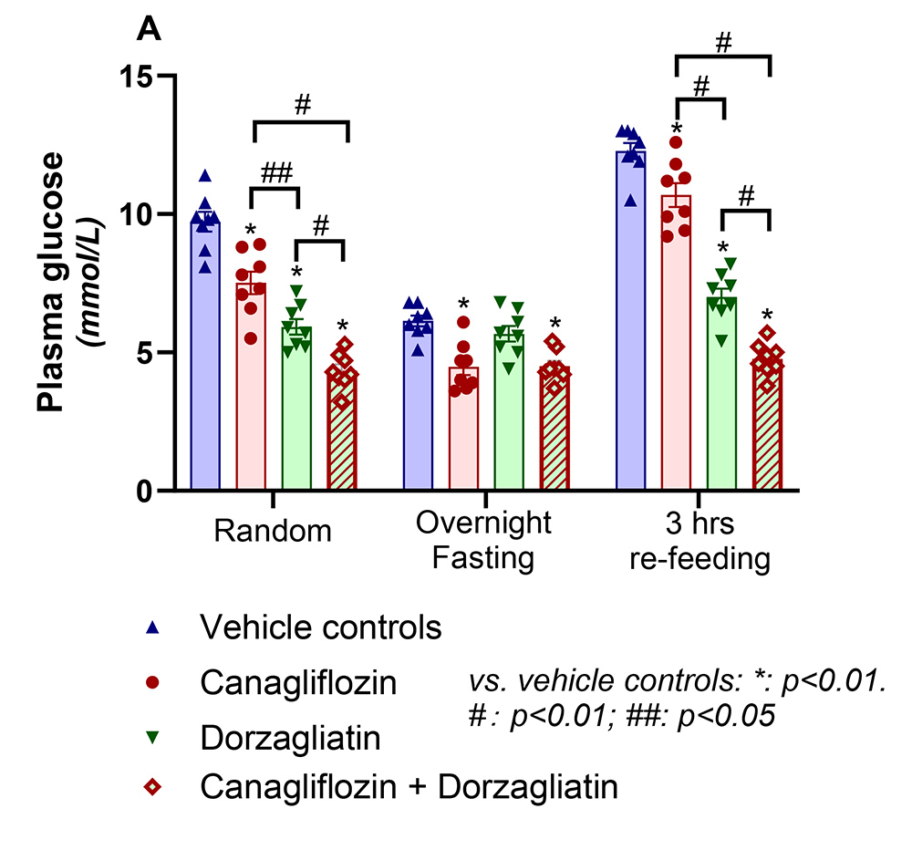 1719186701614115.jpg 01.jpg